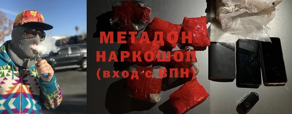 индика Алексин