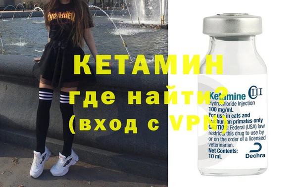 индика Алексин