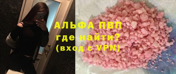 индика Алексин